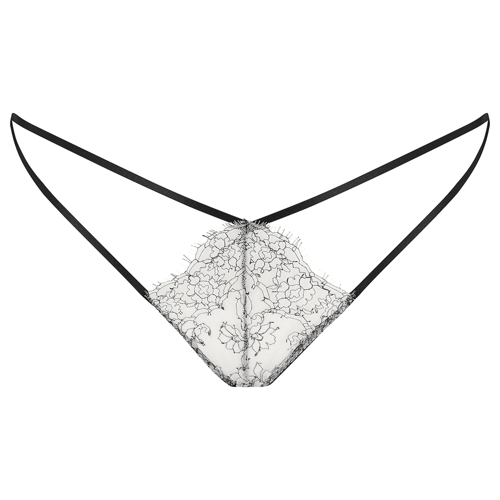 Anastasia Mini Brief